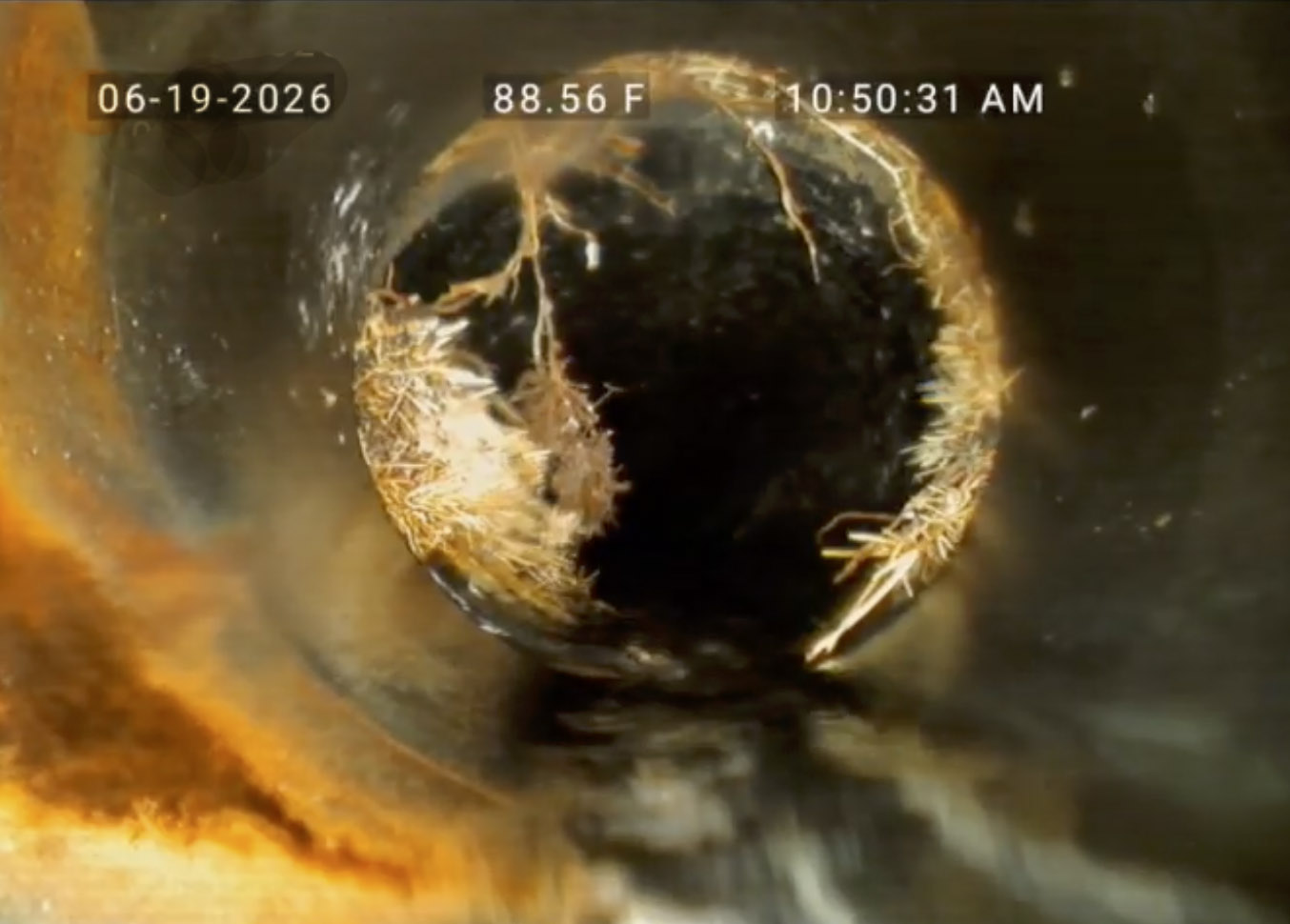 Root intrusion inside aging sewer line found during FlowPro IE inspection in Corona CA