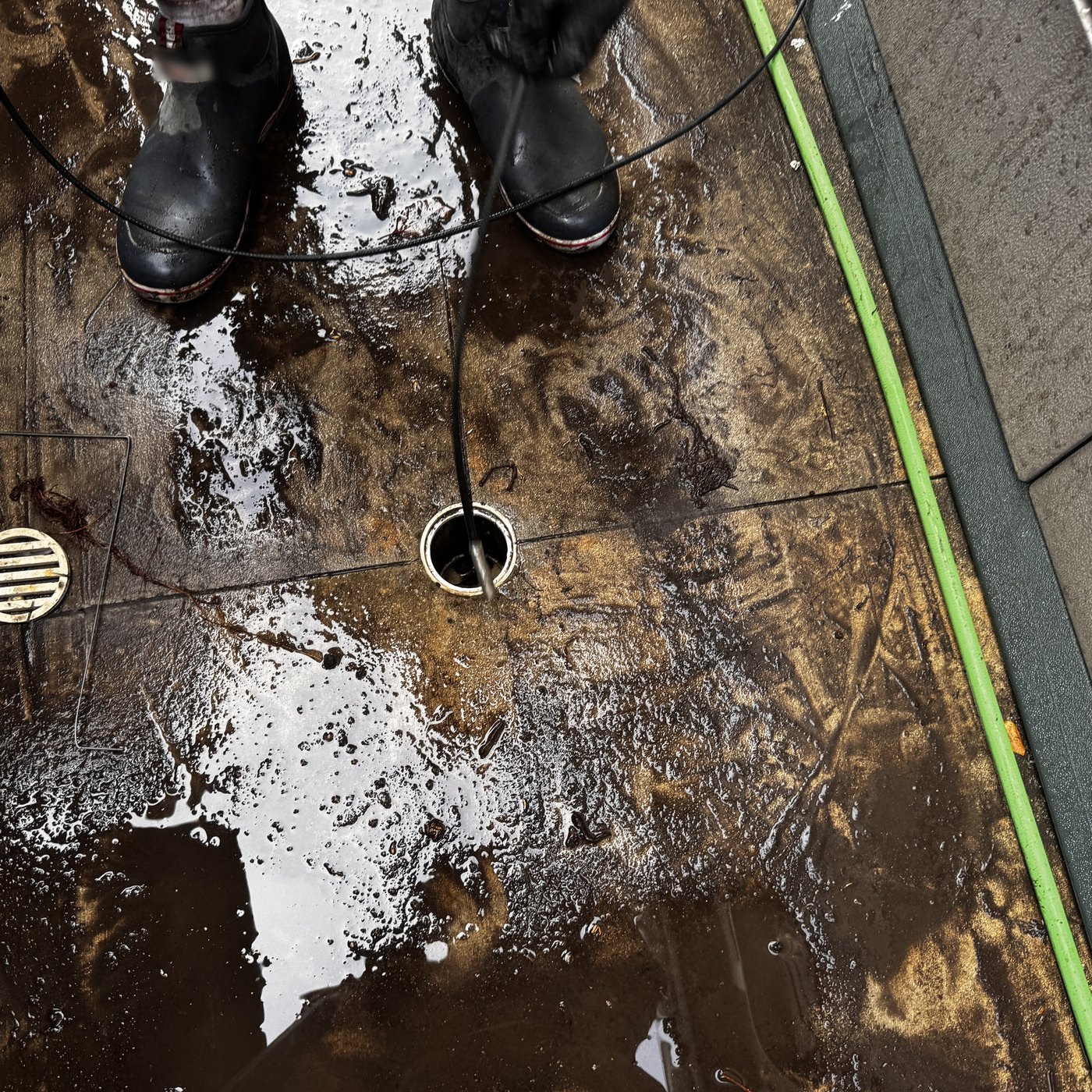 High-pressure jetting hose fed into a drain cleanout with debris cleared onto the surrounding concrete