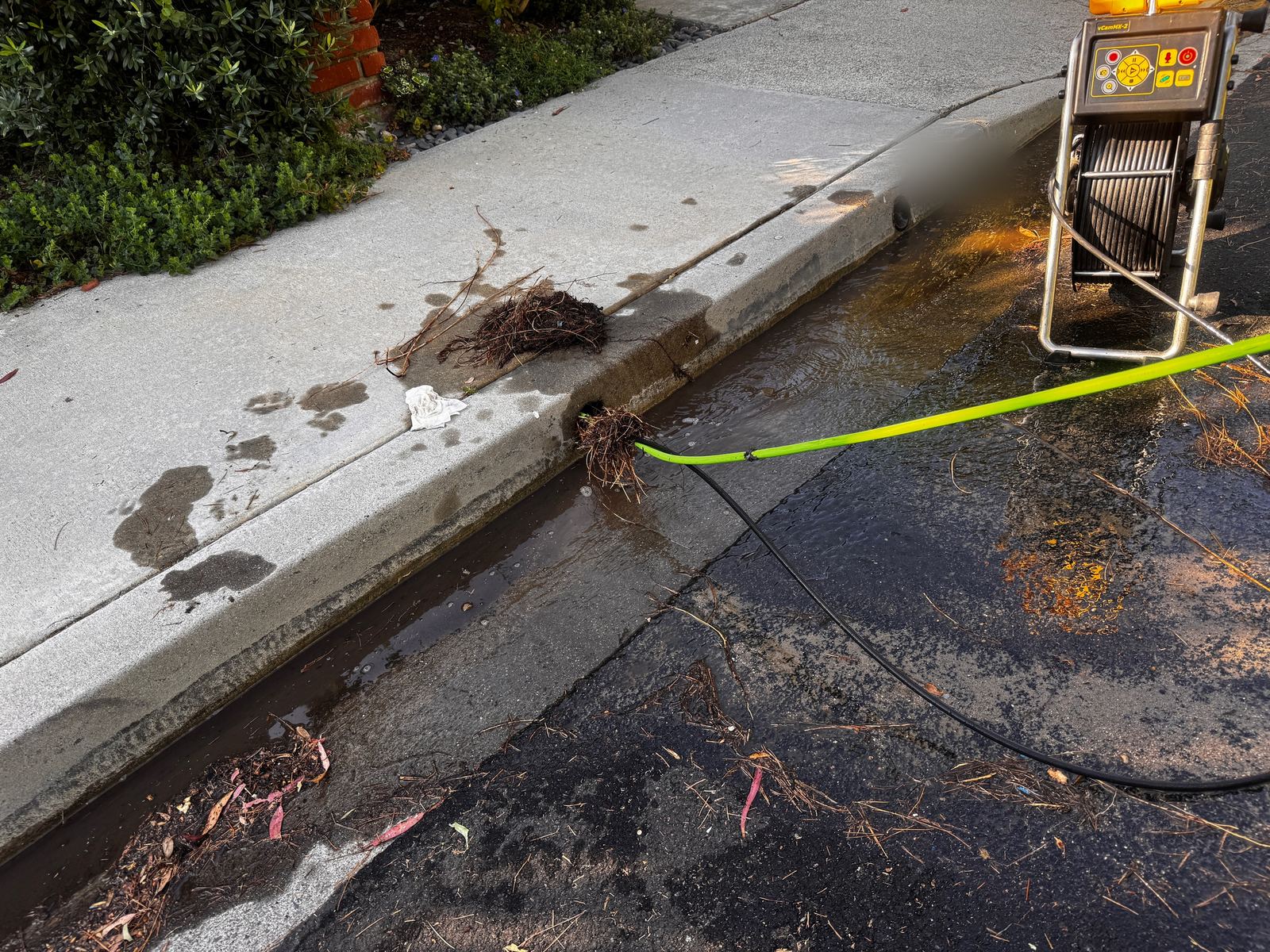 Root mass at a curb drain outlet beside a flush hose and drain camera reel